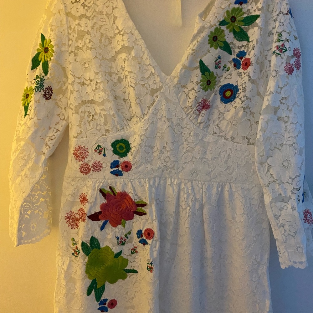 W/ Tag. Never worn Exquisite lace embroidered dress- Tracy Reese Anthropologie.